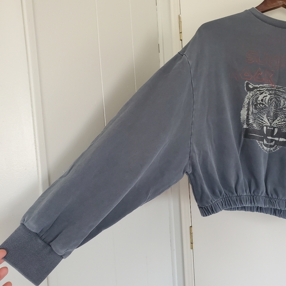 Gilded Intent Sweatshirt Women's L Gray Tiger Cropped - Picture 5 of 10